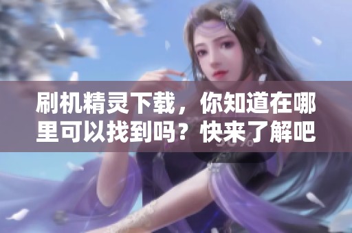 刷机精灵下载，你知道在哪里可以找到吗？快来了解吧！