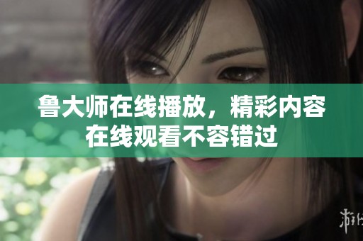 鲁大师在线播放，精彩内容在线观看不容错过