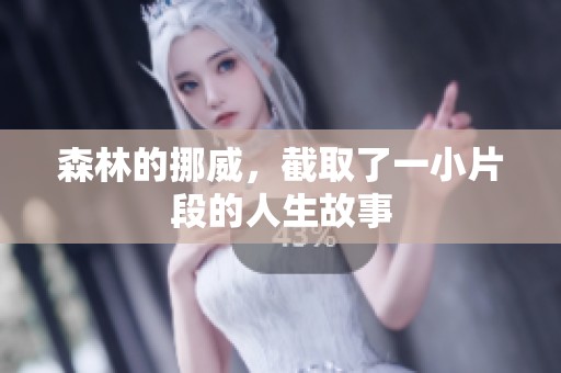 森林的挪威，截取了一小片段的人生故事