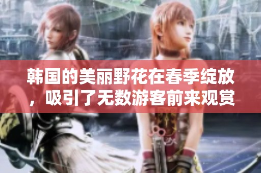 韩国的美丽野花在春季绽放，吸引了无数游客前来观赏