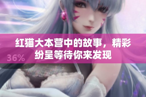 红猫大本营中的故事，精彩纷呈等待你来发现
