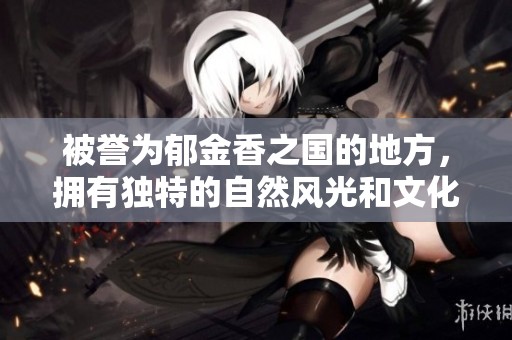 被誉为郁金香之国的地方，拥有独特的自然风光和文化魅力