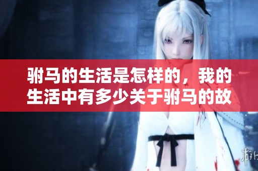驸马的生活是怎样的，我的生活中有多少关于驸马的故事呢