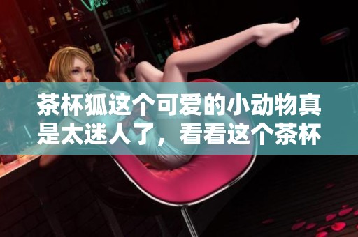 茶杯狐这个可爱的小动物真是太迷人了，看看这个茶杯狐的详细介绍吧