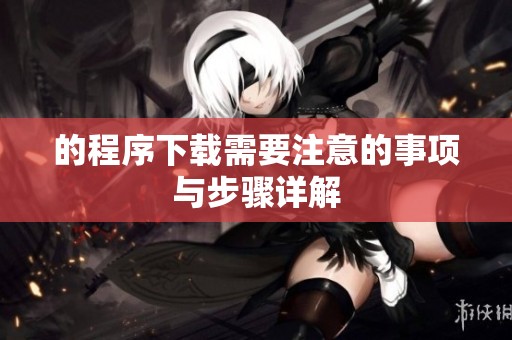 的程序下载需要注意的事项与步骤详解