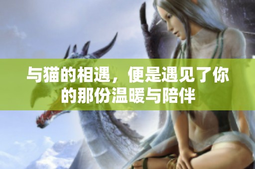 与猫的相遇，便是遇见了你的那份温暖与陪伴
