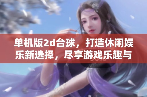 单机版2d台球，打造休闲娱乐新选择，尽享游戏乐趣与挑战