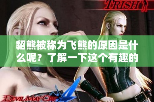貂熊被称为飞熊的原因是什么呢？了解一下这个有趣的称呼背后的故事。