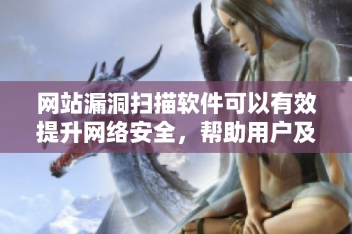 网站漏洞扫描软件可以有效提升网络安全，帮助用户及时发现潜在风险