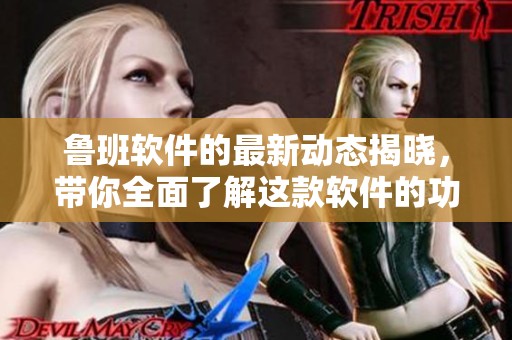 鲁班软件的最新动态揭晓，带你全面了解这款软件的功能与应用