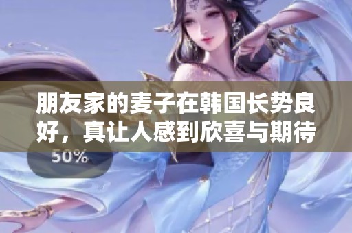 朋友家的麦子在韩国长势良好，真让人感到欣喜与期待