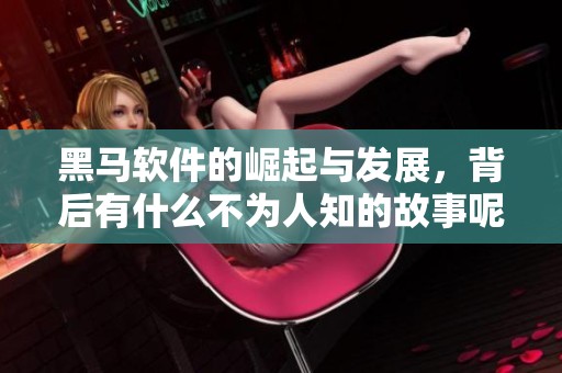黑马软件的崛起与发展，背后有什么不为人知的故事呢