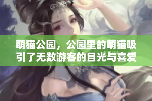 萌猫公园，公园里的萌猫吸引了无数游客的目光与喜爱
