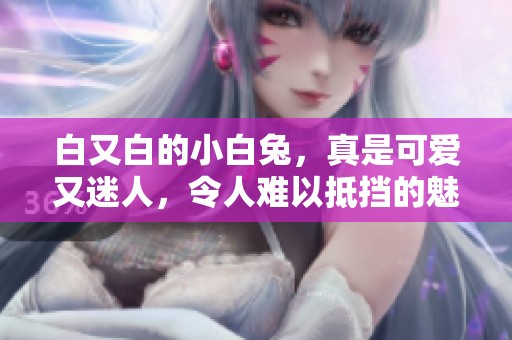 白又白的小白兔，真是可爱又迷人，令人难以抵挡的魅力所在