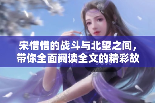 宋惜惜的战斗与北望之间，带你全面阅读全文的精彩故事