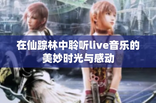 在仙踪林中聆听live音乐的美妙时光与感动