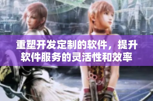重塑开发定制的软件，提升软件服务的灵活性和效率