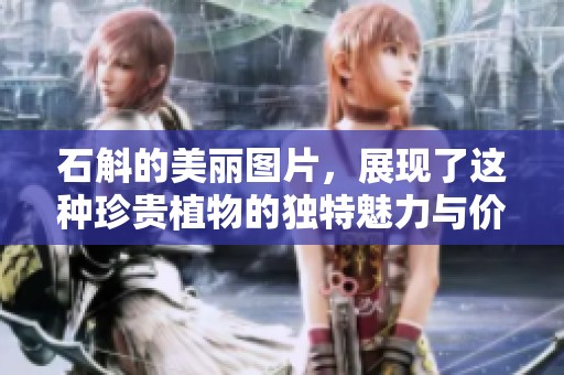 石斛的美丽图片，展现了这种珍贵植物的独特魅力与价值