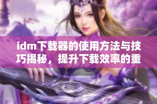 idm下载器的使用方法与技巧揭秘，提升下载效率的重要工具推荐