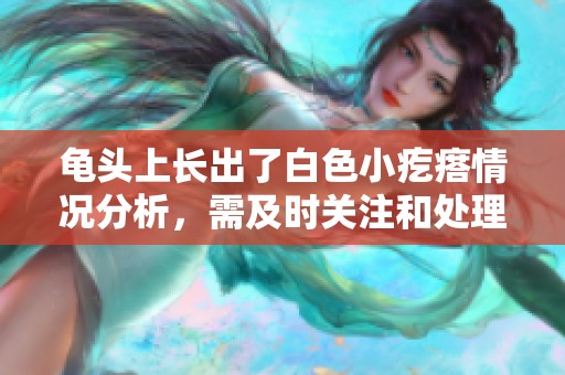 龟头上长出了白色小疙瘩情况分析，需及时关注和处理的问题