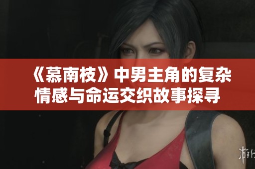 《慕南枝》中男主角的复杂情感与命运交织故事探寻