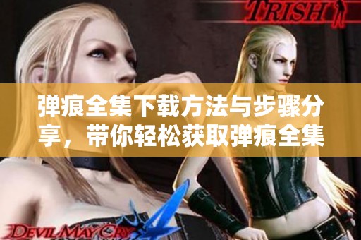 弹痕全集下载方法与步骤分享，带你轻松获取弹痕全集资源