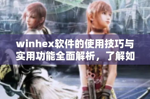 winhex软件的使用技巧与实用功能全面解析，了解如何更好地利用winhex工具