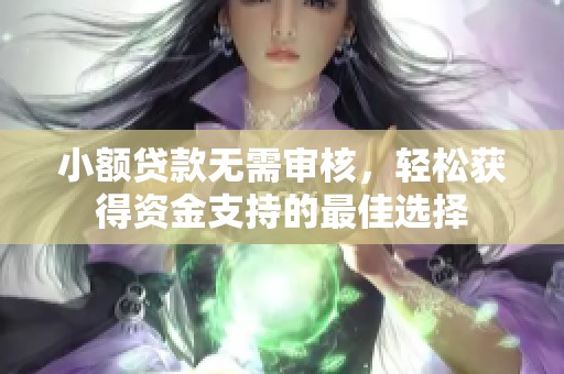 小额贷款无需审核，轻松获得资金支持的最佳选择