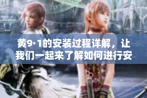 黄9·1的安装过程详解，让我们一起来了解如何进行安装吧