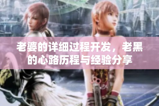 老婆的详细过程开发，老黑的心路历程与经验分享