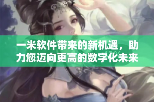 一米软件带来的新机遇，助力您迈向更高的数字化未来