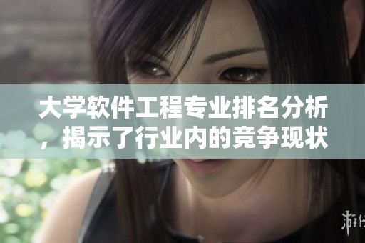大学软件工程专业排名分析，揭示了行业内的竞争现状与发展趋势。