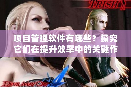 项目管理软件有哪些？探究它们在提升效率中的关键作用