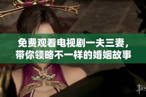 免费观看电视剧一夫三妻，带你领略不一样的婚姻故事与情感交织