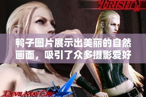鸭子图片展示出美丽的自然画面，吸引了众多摄影爱好者的关注。