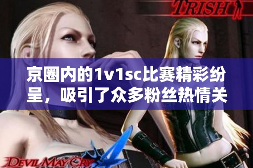京圈内的1v1sc比赛精彩纷呈，吸引了众多粉丝热情关注