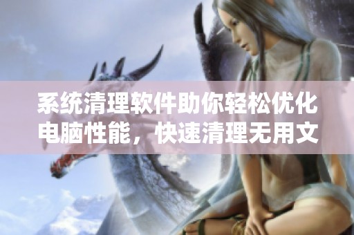 系统清理软件助你轻松优化电脑性能，快速清理无用文件提升效率