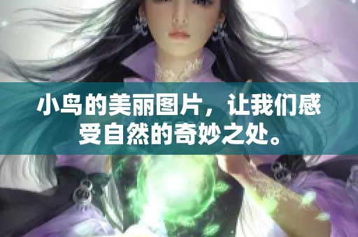 小鸟的美丽图片，让我们感受自然的奇妙之处。