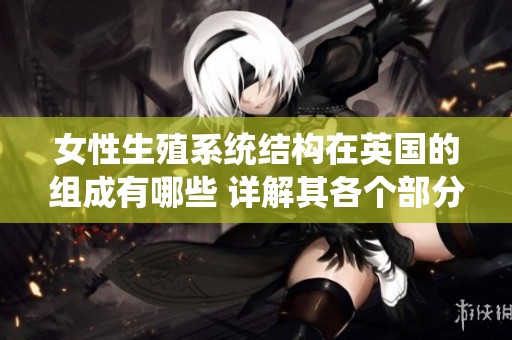 女性生殖系统结构在英国的组成有哪些 详解其各个部分的功能与特点