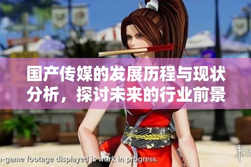 国产传媒的发展历程与现状分析，探讨未来的行业前景和挑战