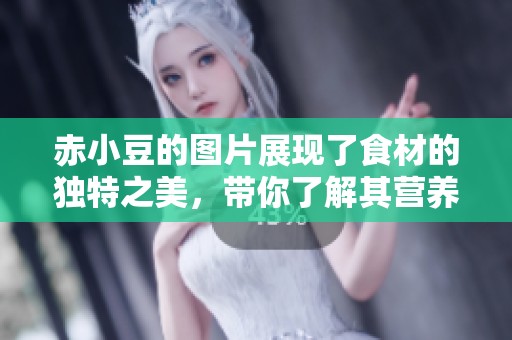 赤小豆的图片展现了食材的独特之美，带你了解其营养价值和用途