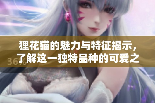 狸花猫的魅力与特征揭示，了解这一独特品种的可爱之处