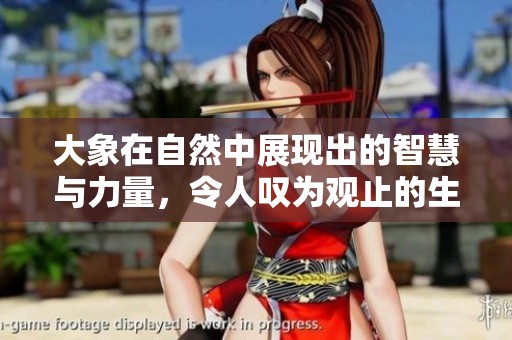 大象在自然中展现出的智慧与力量，令人叹为观止的生物之王