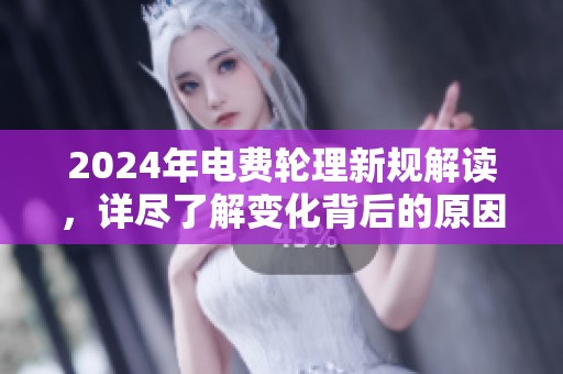 2024年电费轮理新规解读，详尽了解变化背后的原因与影响