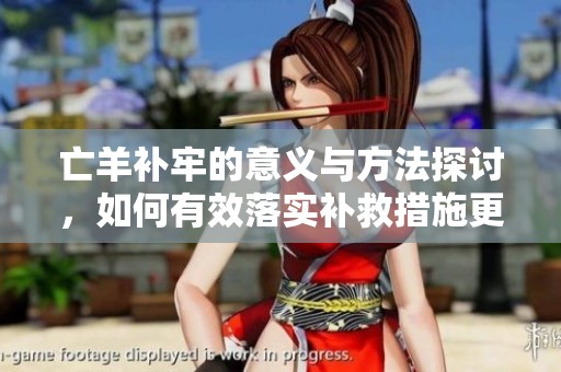 亡羊补牢的意义与方法探讨，如何有效落实补救措施更为重要