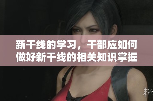 新干线的学习，干部应如何做好新干线的相关知识掌握与运用