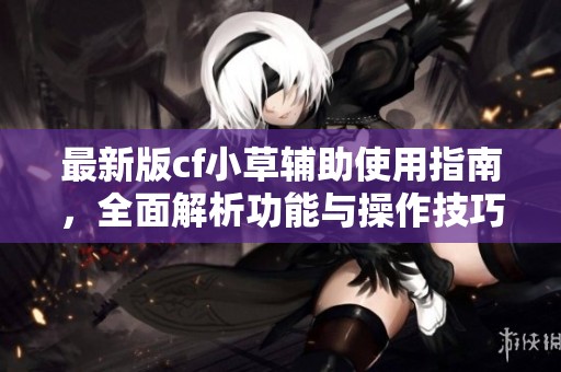 最新版cf小草辅助使用指南，全面解析功能与操作技巧