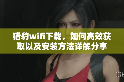 猎豹wifi下载，如何高效获取以及安装方法详解分享