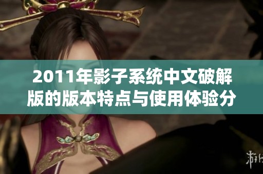 2011年影子系统中文破解版的版本特点与使用体验分享