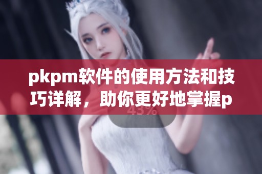 pkpm软件的使用方法和技巧详解，助你更好地掌握pkpm软件功能